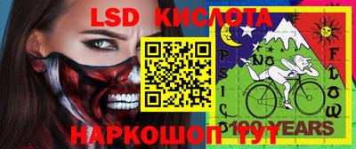 стаф Кинель